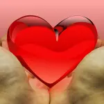 Rete del Dono: Spingi e Dona!